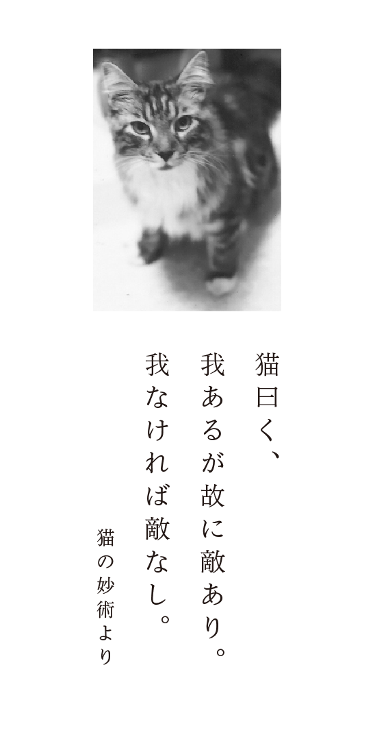 猫曰く、我あるが故に敵あり。我なければ敵なし。猫の妙術より